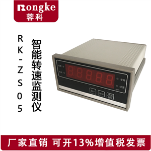 RK-ZS05智能转速监测仪表