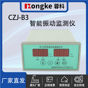 CZJ-B3/RK振动检测表